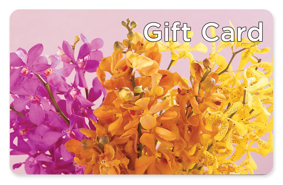 Carte-cadeau