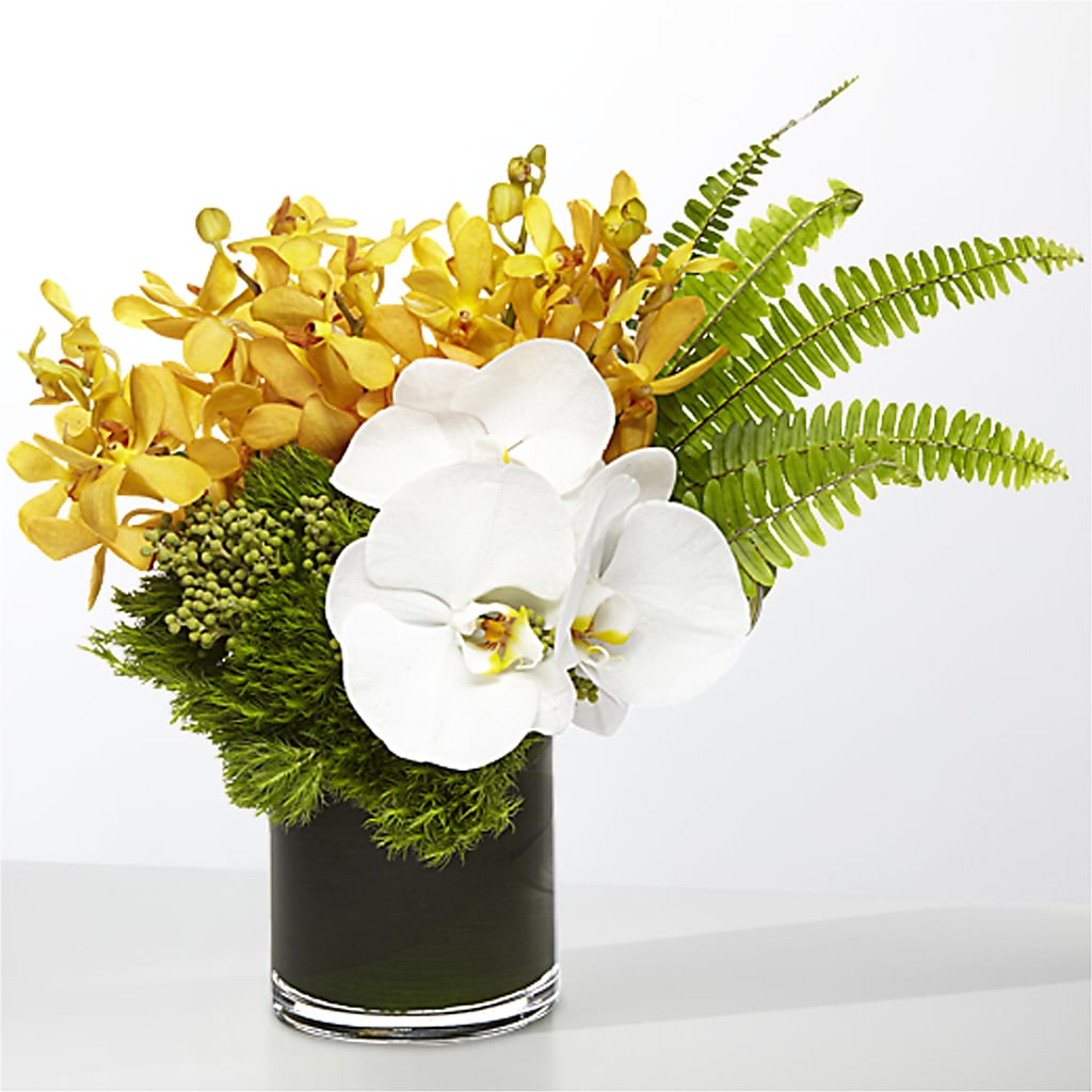 The Tropics – LARRY FLORAL & GIFTS, Petersburg VA