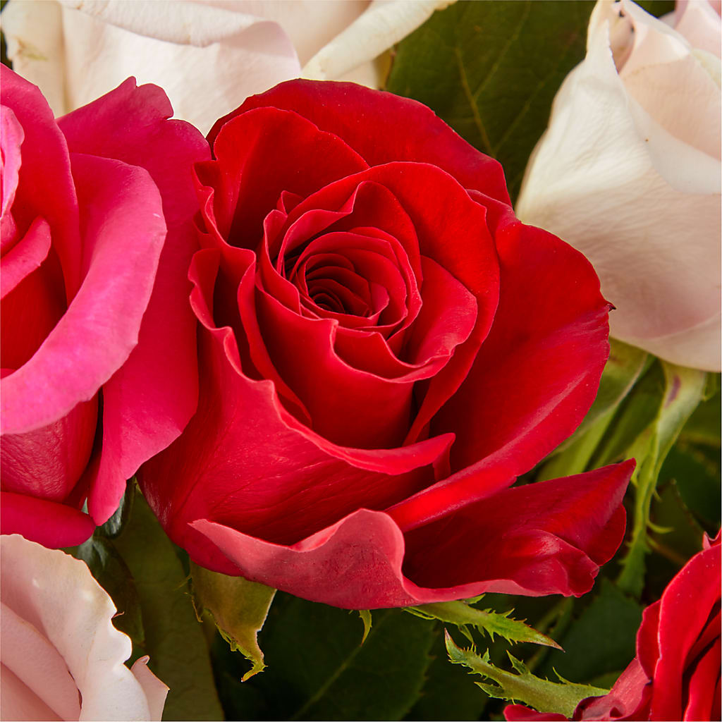 Charming Rose Bouquet – LARRY FLORAL & GIFTS, Petersburg VA